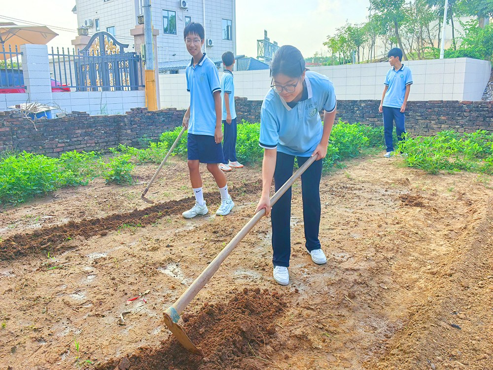 新余正规青少年成长培育机构联系电话指南